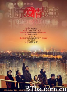 北京爱情故事 北爱 BeiJing Love Story (2012)  BT磁力 迅雷网盘下载