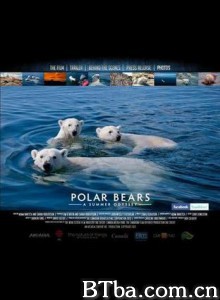 北极熊：一个夏天的奥德赛 北极熊：夏季远行 Eisbären 3D (2012)  BT磁力 迅雷网盘下载