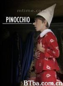 木偶奇遇记 匹诺曹 Pinocchio (2008)  BT磁力 迅雷网盘下载