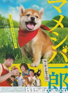 映画マメシバ一郎フーテンの芝二郎 (2013)  BT磁力 迅雷网盘下载