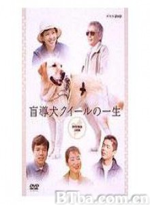 导盲犬小Q之一生 (1970)  BT磁力 迅雷网盘下载
