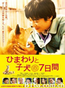 向日葵与幼犬的7天 第七日的奇迹(台) 向日葵与狗孩子的7天 (2013) 1080P/720P BT磁力 迅雷网盘下载