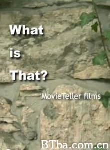 那是什么？ What Is That? (2007)  BT磁力 迅雷网盘下载