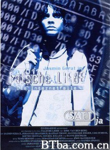 网络陷阱：错误的爱 Access Denied (2000)  BT磁力 迅雷网盘下载