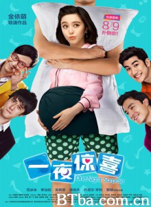 一夜惊喜 One Night Surprise (2013)  BT磁力 迅雷网盘下载
