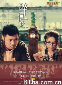 醉后一夜 断了片 Lacuna (2012)  BT磁力 迅雷网盘下载