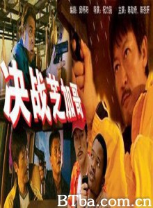 决战芝加哥 (1970)  BT磁力 迅雷网盘下载