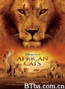 非洲猫科 非洲野猫(港) 非洲猫科：勇气王国 (2011) 1080P BT磁力 迅雷网盘下载-影音屋