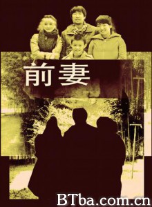 前妻 老丁的春天 (2009)  BT磁力 迅雷网盘下载