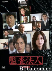 审计风云 (2008)  BT磁力 迅雷网盘下载
