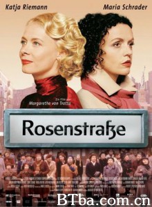 玫瑰围墙 罗森斯塔塞街的女人们 玫瑰大街 (2003)  BT磁力 迅雷网盘下载