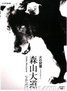 犬的记忆森山大道・写真之旅 (1970)  BT磁力 迅雷网盘下载