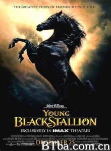 小黑马 黑神驹前传 (2003)  BT磁力 迅雷网盘下载
