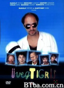 玻璃虎 (2001)  BT磁力 迅雷网盘下载