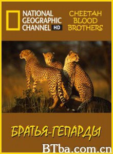 猎豹三兄弟 猎豹生死兄弟 (2008)  BT磁力 迅雷网盘下载