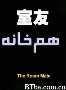 室友 (2008)  BT磁力 迅雷网盘下载