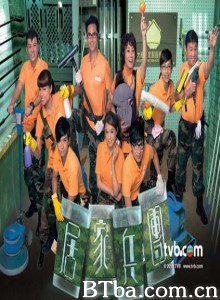 居家兵团 (2010)  BT磁力 迅雷网盘下载
