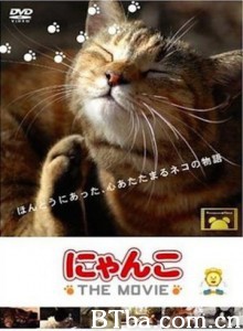 猫咪物语 (1970)  BT磁力 迅雷网盘下载