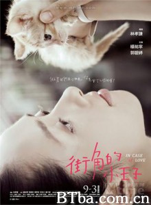 街角的小王子 In Case of Love (2010)  BT磁力 迅雷网盘下载