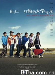 一只狗的大学时光-720p|1080p高清bt种子下载