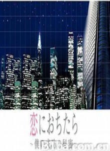 坠入爱河～我成功的秘密 Koini ochitara (2005)  BT磁力 迅雷网盘下载