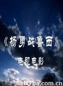 杨勇战鲁西 共和国名将·杨勇战鲁西 (2011)  BT磁力 迅雷网盘下载