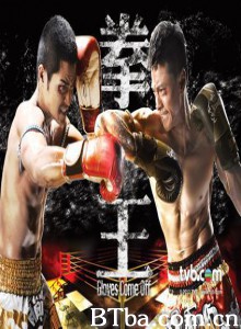 拳王 (2012)  BT磁力 迅雷网盘下载