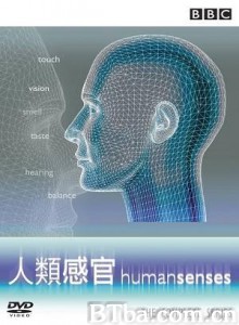 人类感官 (1970)  BT磁力 迅雷网盘下载