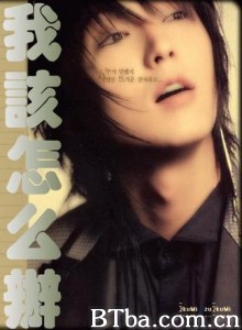 我该怎么办 (2004)  BT磁力 迅雷网盘下载