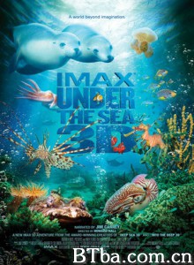 海底世界3D 海底猎奇 (2009)  BT磁力 迅雷网盘下载