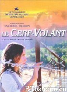 风筝 Cerf-volant  Le (2004)  BT磁力 迅雷网盘下载