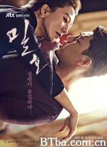 密会 Secret Love Affair (2014) 1080P/WEB-DL BT磁力 迅雷网盘下载