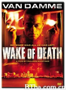 亡魂复活 after death (2004)  BT磁力 迅雷网盘下载