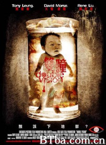 双瞳 Double Vision (2002)  BT磁力 迅雷网盘下载