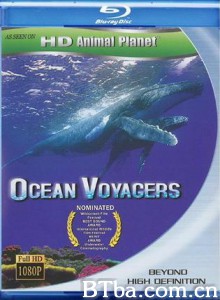 动物星球系列：鲸奇之旅 (2007)  BT磁力 迅雷网盘下载