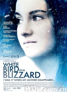 暴风雪中的白鸟 反思中的娇娇女 風雪少女離奇命案(港) (2014) 1080P/720P BT磁力 迅雷网盘下载