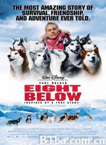 南极大冒险 零下八度 南极物语 (2006)  BT磁力 迅雷网盘下载