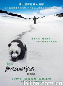熊猫回家路 熊猫团圆路 Touch of the Panda (2009)  BT磁力 迅雷网盘下载