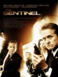 一级戒备/特勤组/The Sentinel