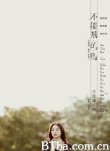 不能飞的鸟-720p|1080p高清bt种子下载