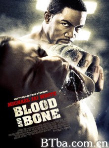 血与骨 (2009)  BT磁力 迅雷网盘下载