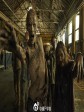 行尸走肉 第六季/The Walking Dead Season 6
