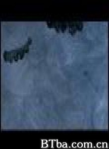沙漠夜夜欢 (2003)  BT磁力 迅雷网盘下载