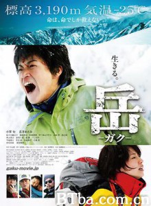 岳：冰峰救援 Peak: The Rescuers (2011)  BT磁力 迅雷网盘下载