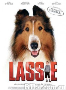 新灵犬莱西 寻找灵犬莱西 (2005)  BT磁力 迅雷网盘下载