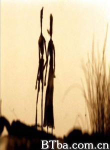 摒住呼吸 (2002)  BT磁力 迅雷网盘下载