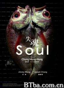 失魂 Soul (2013) 1080P/720P BT磁力 迅雷网盘下载