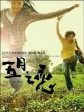 五月之恋/Love Of May