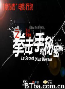 11度青春之《拳击手的秘密》 拳击手的秘密 The bright eleven - Le Secret D'un Boxeur (2010)  BT磁力 迅雷网盘下载