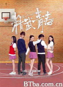 精武青春 天使高校 Kung Fu Angels (2014) 1080P BT磁力 迅雷网盘下载